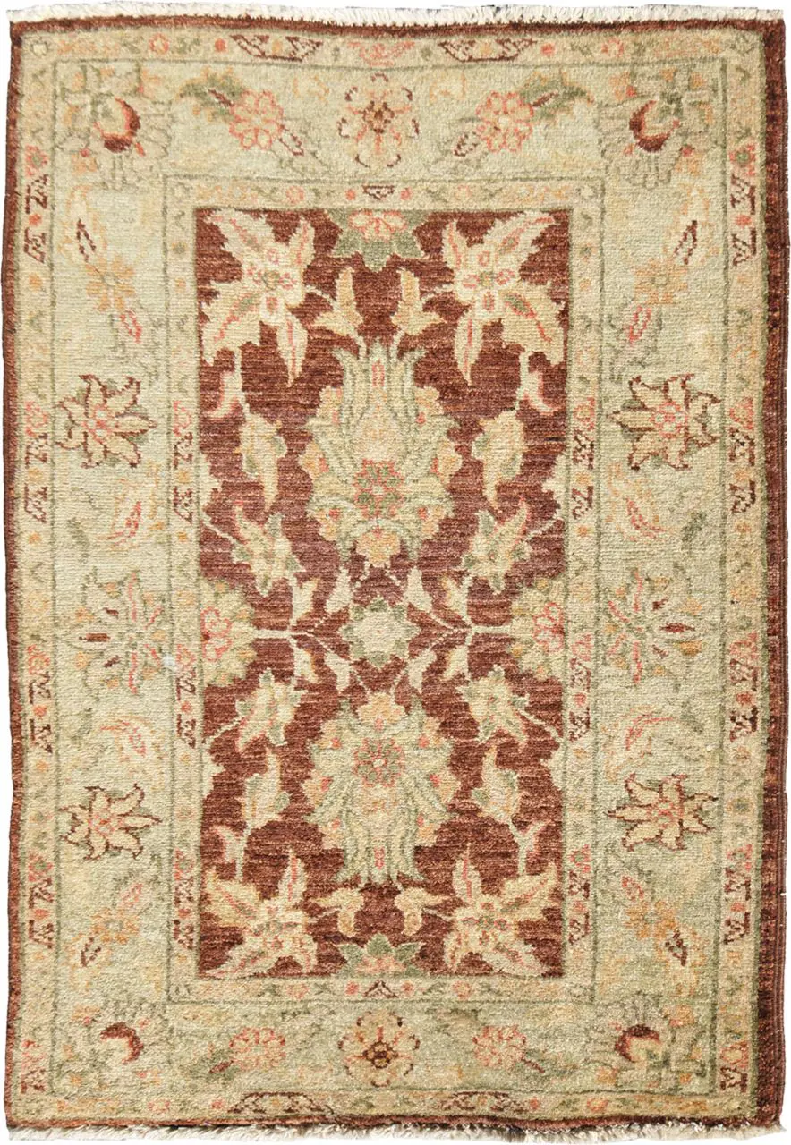 0000921_agra-style AGRA STYLE - Image 1