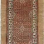 ANTIQUE CAMEL SARAB