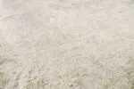 BAMBOO SILK - Image 2