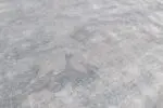 AQUATICA - Image 2