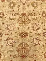 AGRA STYLE - Image 4