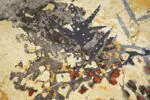 BLOOM - Image 3