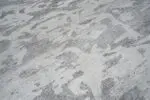 AQUATICA - Image 2