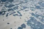 AQUATICA - Image 3