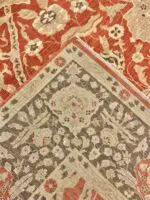 SAFIR - Image 4