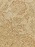 AGRA STYLE - Image 2