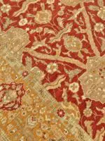 SAFIR - Image 2