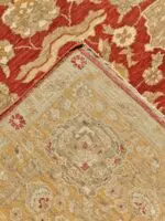 SAFIR - Image 4