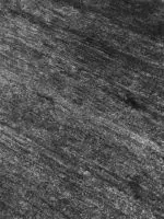BAMBOO SILK - Image 2