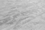 AQUATICA - Image 2
