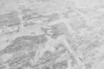 AQUATICA - Image 2