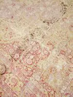 ANTIQUE KERMAN - Image 2