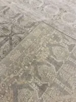 SILK MAHARAJA - Image 4