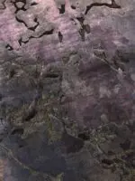 BLOOM OVERDYE - Image 2