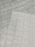 WEB - Image 4