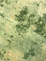 MODERN W/ SILK - Image 2