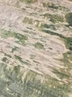 BAMBOO SILK - Image 2