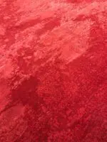 SURFACE - Image 3