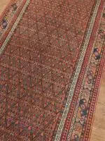 ANTIQUE CAMEL SARAB - Image 2