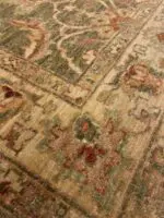 AGRA STYLE - Image 3