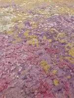 MODERN W/ SILK - Image 3