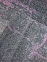 AQUATICA - Image 3