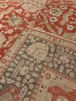SAFIR - Image 4