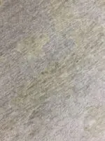 CIELO - Image 3