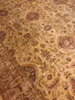 AGRA STYLE - Image 2