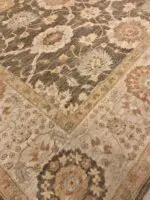 ZIEGLER STYLE - Image 3