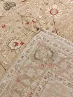 AGRA STYLE - Image 4